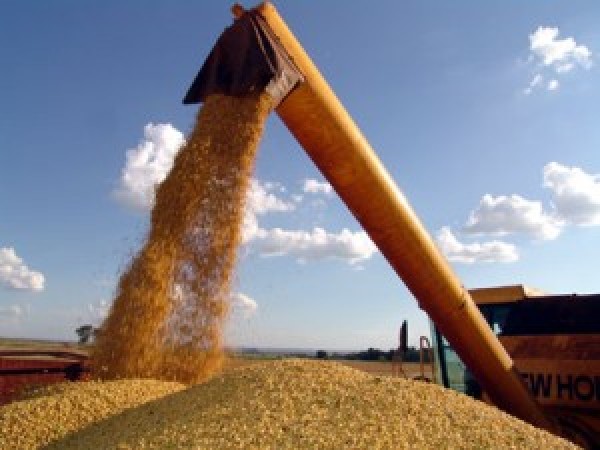  “Safras prevê aumento de 11% na produção de soja do Brasil 14/15″