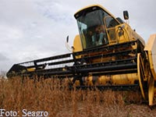 Clima pode determinar prejuízos em colheita de soja em MT; volume de chuvas preocupa os produtores