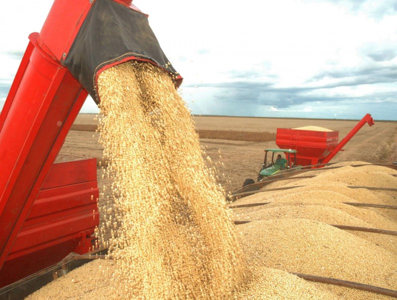 Colheita de soja em MT avança para 80,5% da área; plantio de milho quase finalizado
