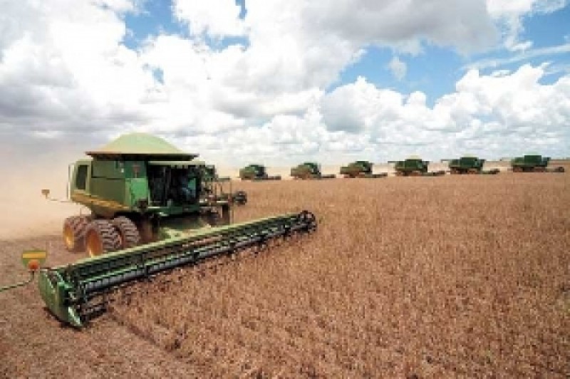 EUA vão plantar área recorde de soja na safra 2015/2016