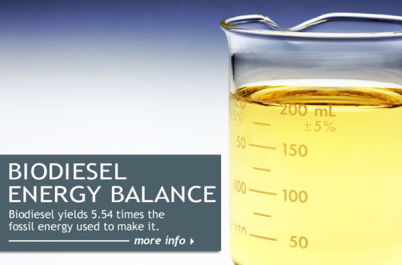 Aumento da produção de biodiesel deve beneficiar produtores gaúchos