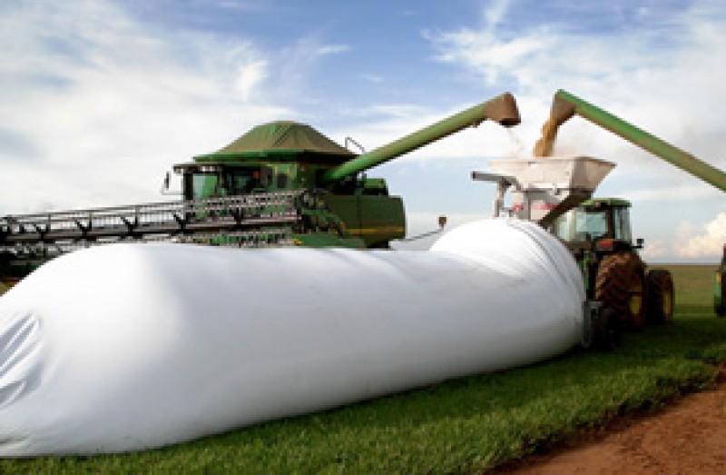 Na falta de armazéns, soja é estocada em silos bolsas no Estado