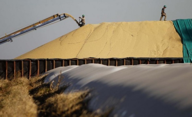 Montanhas de soja nos pampas da Argentina.