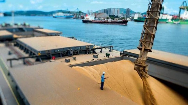Soja embarca nas veias fluviais da América do Sul