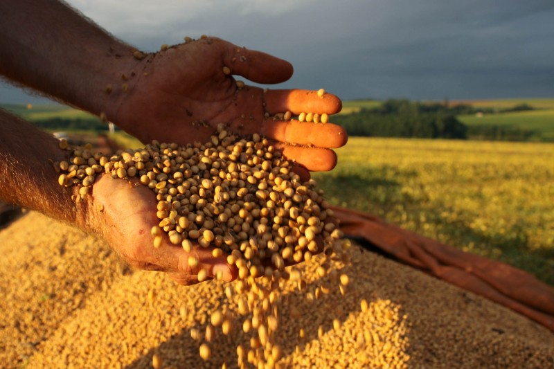 Produção de grãos chega a 204,5 milhões de toneladas em 2015, diz Conab