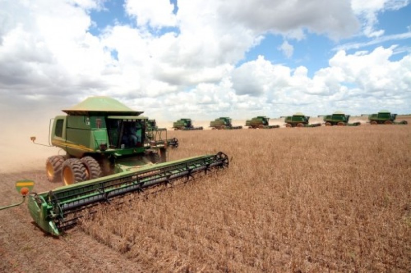 Soja inicia semana em queda na CBOT à espera de dados sobre a nova safra dos EUA