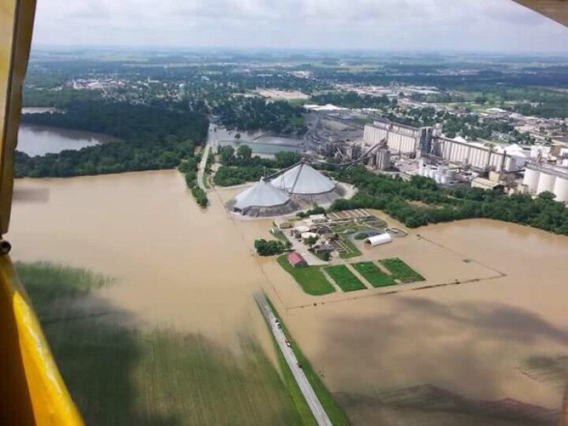 Soja fecha com mais de 50 pontos de alta em Chicago nesta 3ª com USDA e chuvas nos EUA
