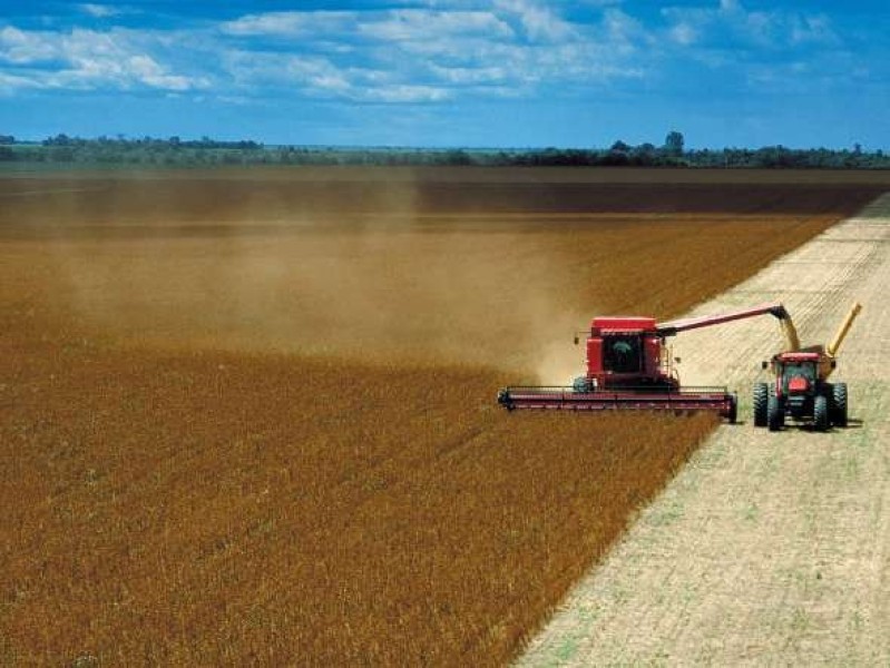 Previsões do USDA para a safra nos EUA direcionam preços em CHICAGO