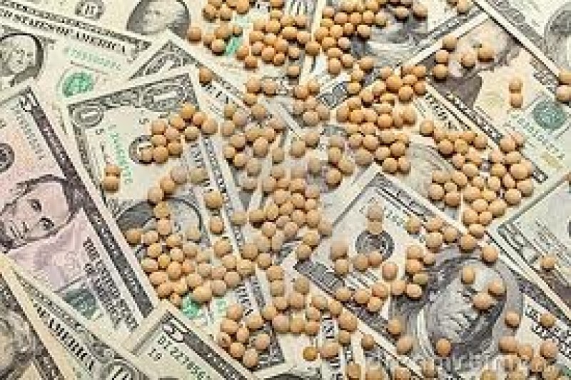 Mercado perde mais de 20 pts na CBOT nesta 2ª feira e sente pressão da economia da China