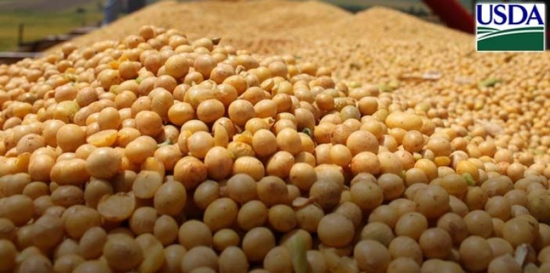 Otimismo nos mercados e vendas externas dos EUA sustentam CBOT