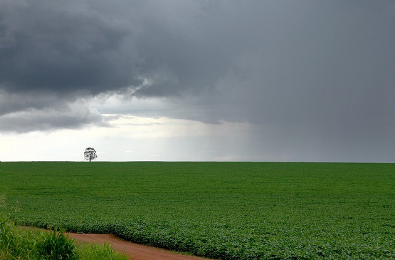 El Niño deve favorecer safra de grãos do Sul