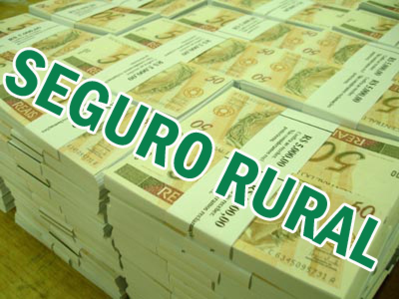 Governo não tem mais verba para o seguro rural neste ano
