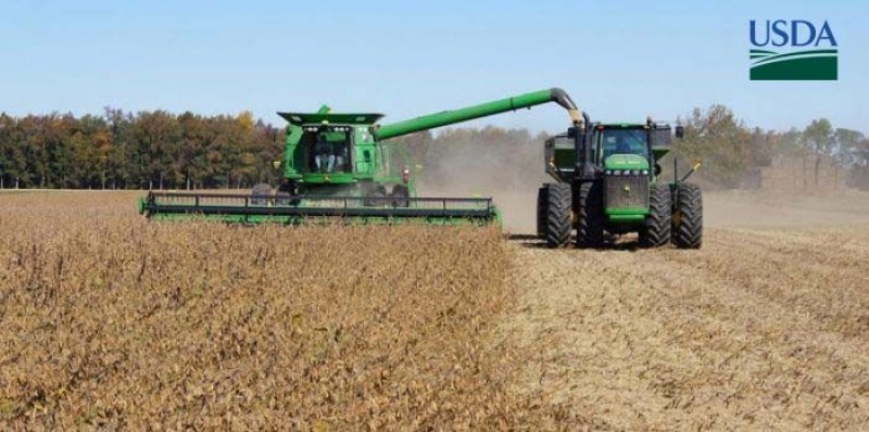Produtores de soja aceleram colheita em Mato Grosso, aponta Imea