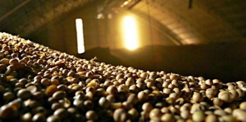 Comercialização de soja se intensifica na Argentina com mudança do cenário político