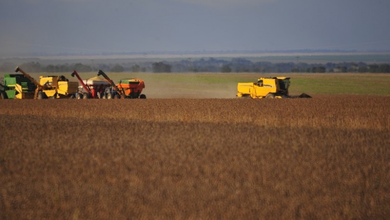 Colheita da soja atinge 52,5% da área em Mato Grosso