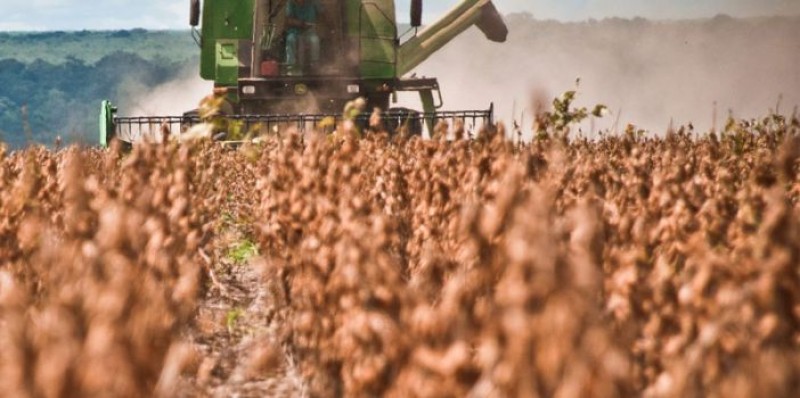 O agronegócio brasileiro e a crise política nacional: Quanto já se perdeu?