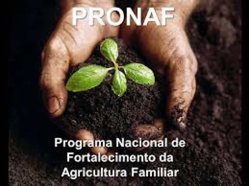 Novo Pronaf terá ao menos R$ 26 bi