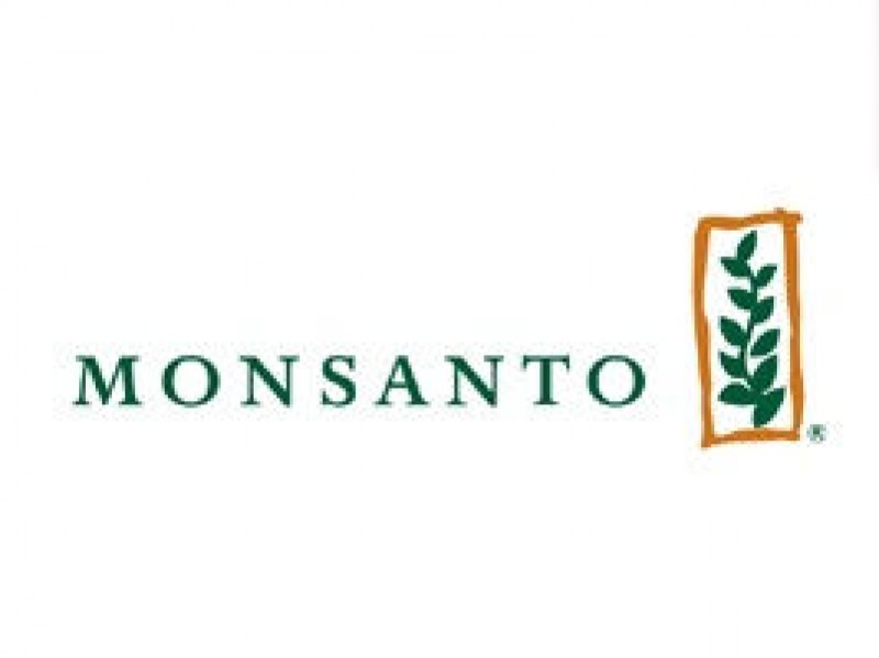 Proposta feita pela Bayer é rejeitada pela Monsanto