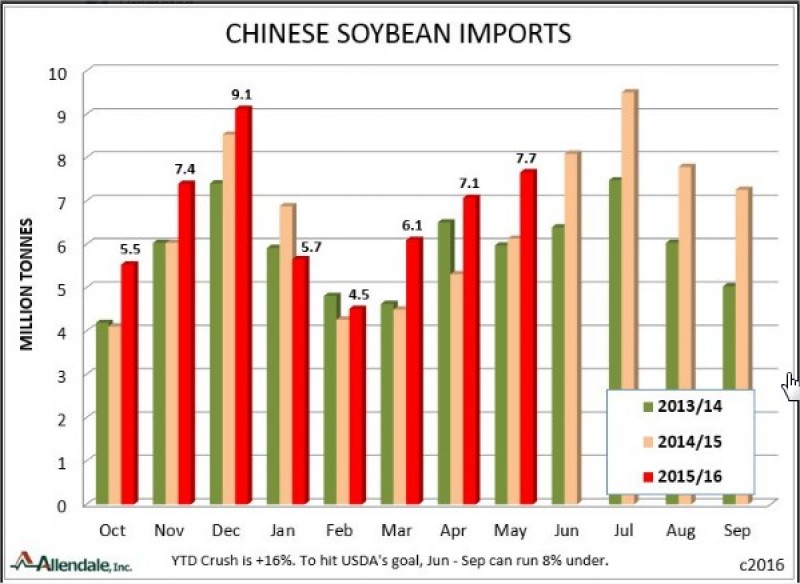 Importações de soja da China em maio sobem 25% em 1 ano e passam de 7 mi de t