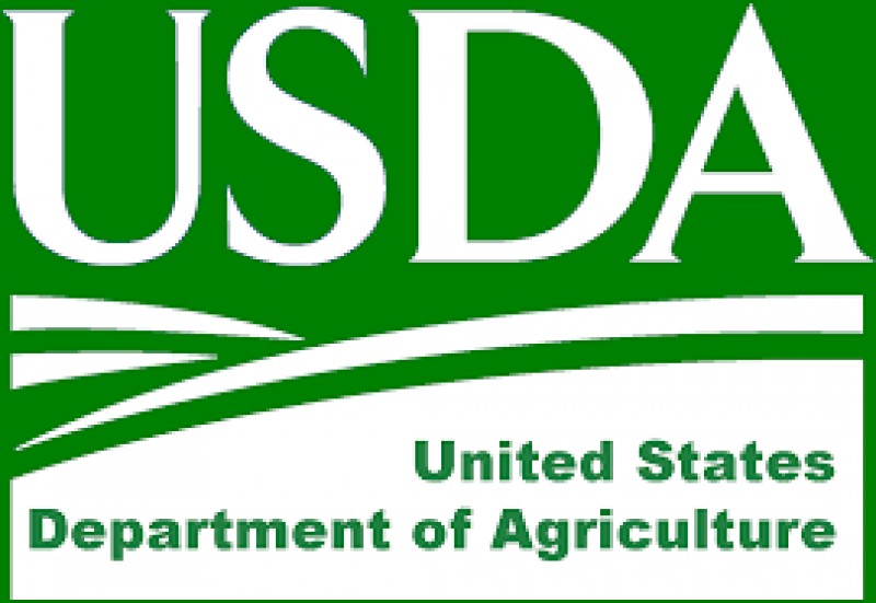 USDA confirma expectativas e reduz estoques finais de soja e milho da safra nova dos EUA