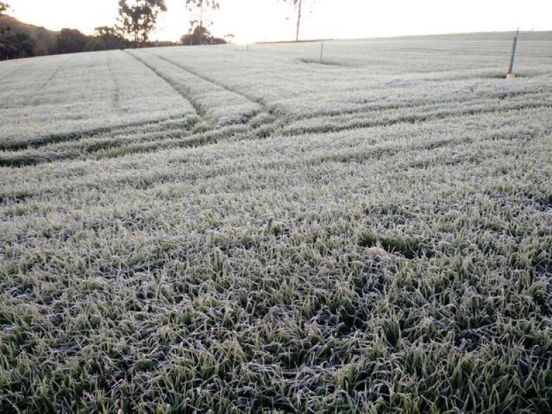 La Niña vai provocar geadas até setembro
