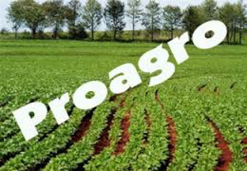 Cai obrigatoriedade do Proagro para financiamento de custeio acima de R$ 300 mil
