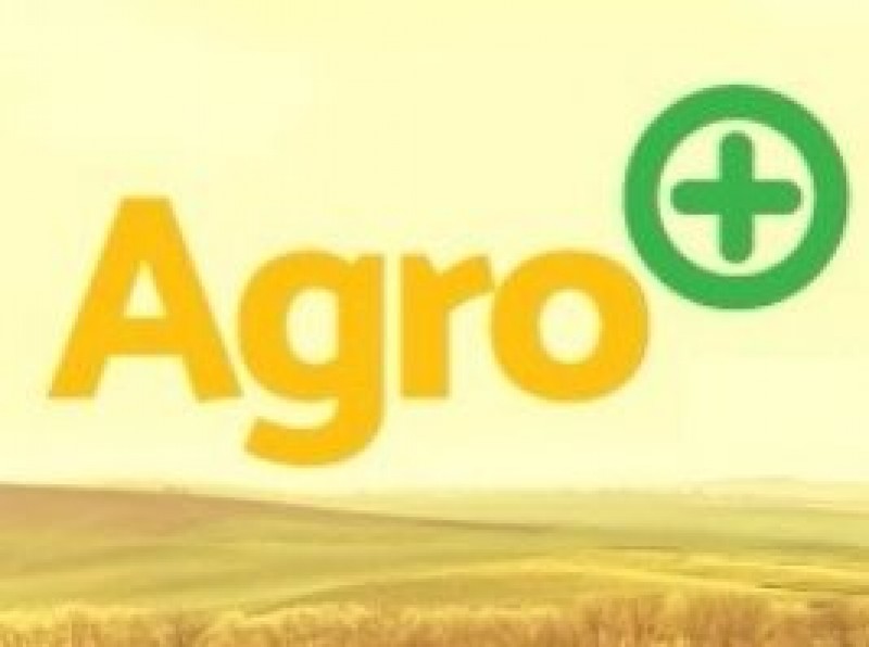Plano do governo vai reduzir burocracia no agronegócio
