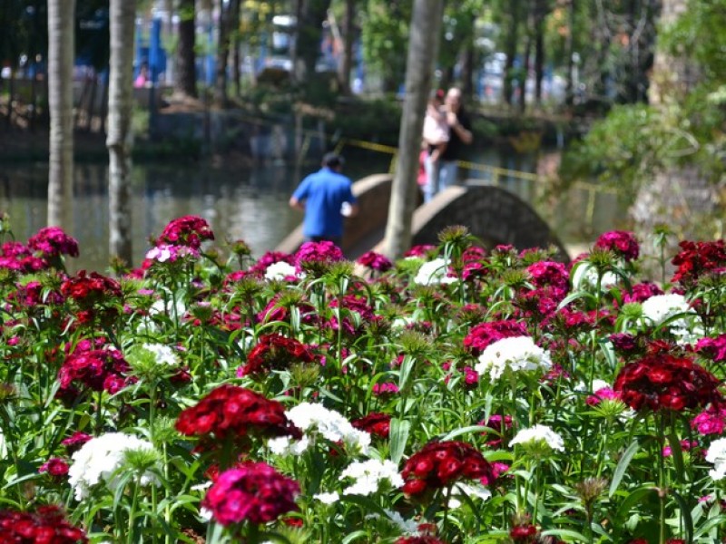 Primavera começa nesta quinta, com ondas de frio previstas até outubro
