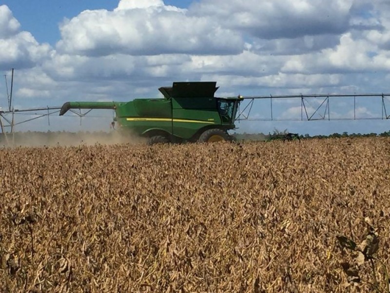 Agricultor americano chega perto das 200 sacas de soja por hectare