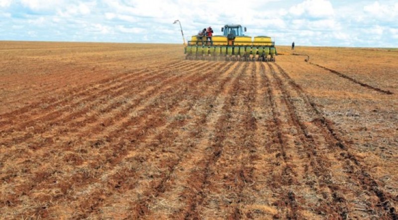 Clima favorece o plantio da safra de grãos 2016/2017 no Paraná