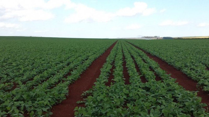 Produtores rurais já contrataram R$ 33,4 bi de crédito para a safra 2016/2017