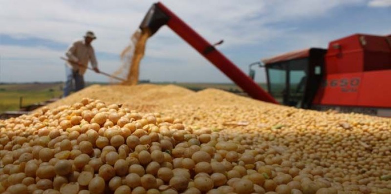 Melhores oportunidades para a soja brasileira no início de 2017 com potencial de chegar aos US$ 12,00/bushel