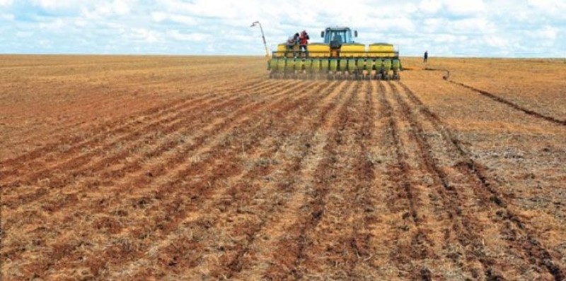 AgRural estima plantio da soja em 41% no Brasil
