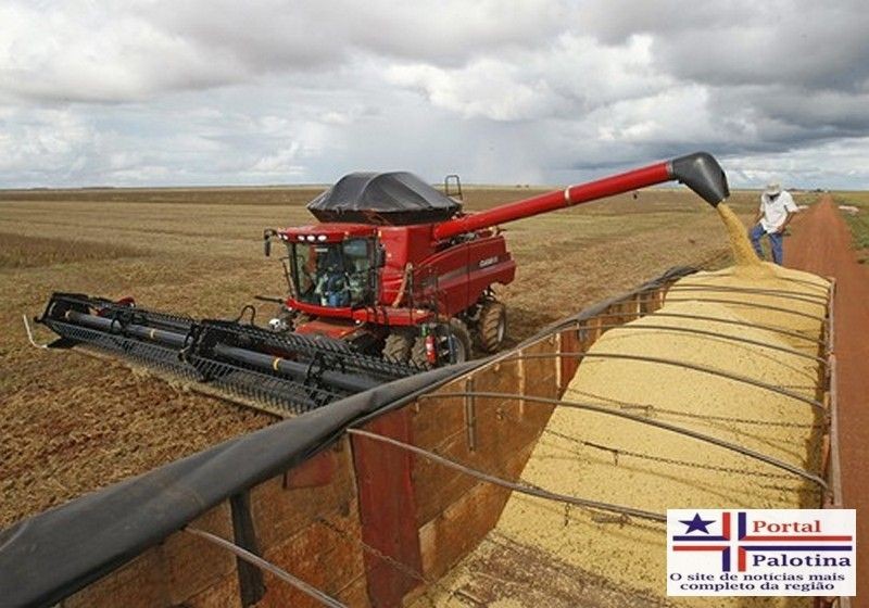 Colheita da soja avança e chega a 93% da área cultivada nesta temporada nos Estados Unidos