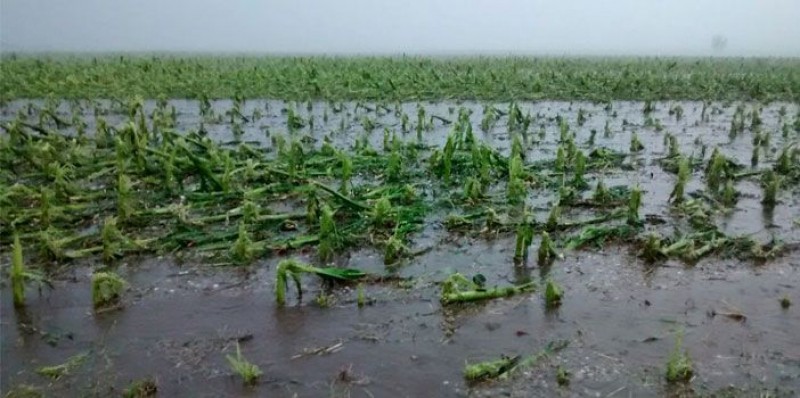 Área rural da província de Santa Fe é atingida por forte queda de granizo