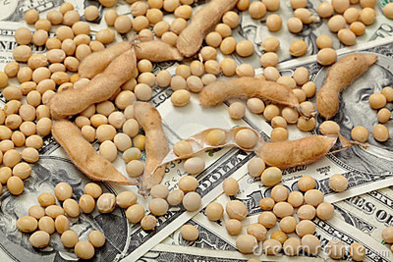 Preço da soja seguirá acima de US$ 10 por bushel até fevereiro