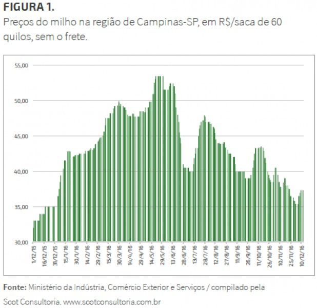 Mercado do milho mais firme no final de 2016 e começo de 2017, aponta Scot Consultoria