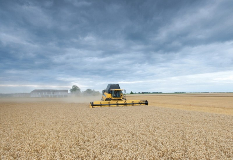 Argentina supera Rússia e EUA com trigo mais barato do mundo