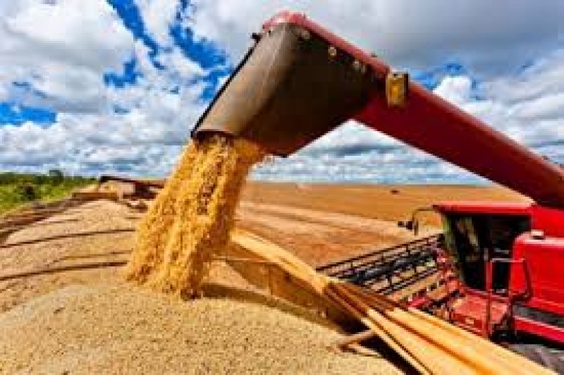 Safra de milho do Brasil sobe para recorde de 89,6 milhões de Toneladas