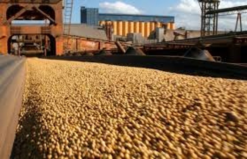 Esmagamento de soja na Argentina superou os 40 mi t em 2016, representando volume histórico