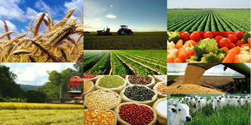 Exportações do agronegócio gaúcho crescem em janeiro