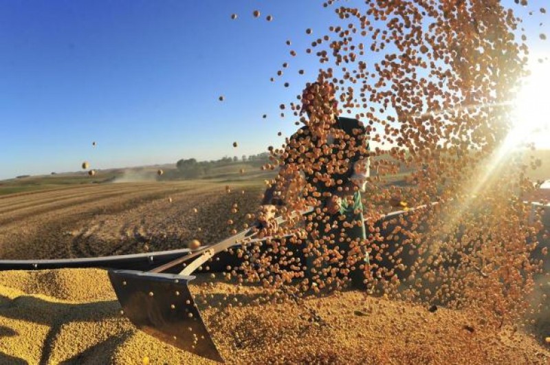 Plantação de soja no centro do RS aumenta 35 mil hectares e bate recorde