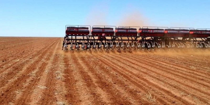 Com bom avanço, plantio da soja e do milho nos EUA superam expectativas