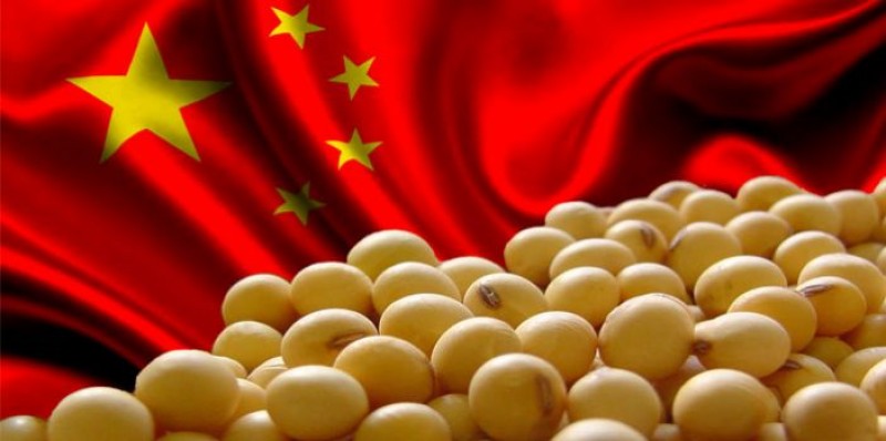 Com importações de soja acumuladas em mais de 37 mi de t no ano, China confirma força da demanda