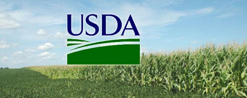 USDA aumenta estoques de soja dos EUA nas safras velha e nova