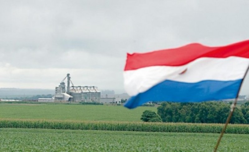Aprovado imposto de 10% sobre as exportações de soja no Paraguai