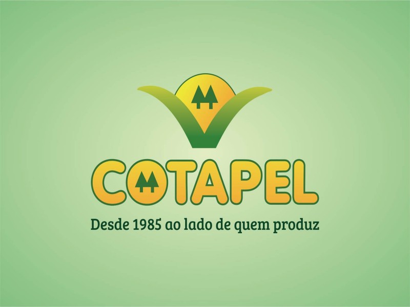 BALCÃO DE NEGÓCIOS