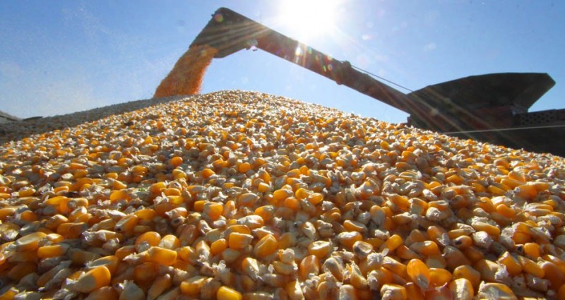 Cargill estima exportação de milho do Brasil em recorde de 35 mi t em 2017