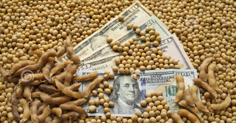 Dólar mais fraco faz soja virar para negativo na Bolsa se Chicago nesta quinta (7)