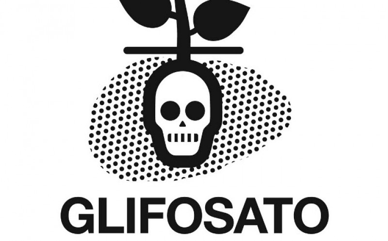 Política ambiental chinesa diminui importação de glifosato no Brasil